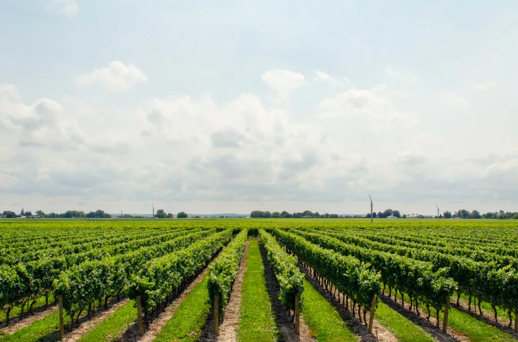 Sustainable Songhai model farming practices
